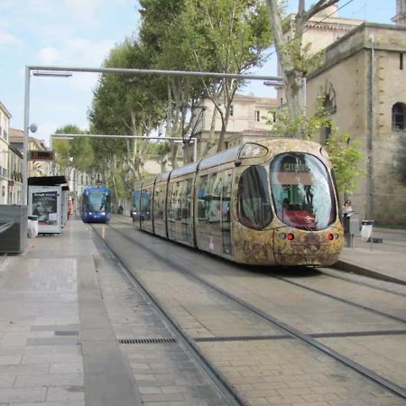 Magnifique 2 Pieces - Plein Centre - Tram 1 Min Lejlighed Montpellier Eksteriør billede